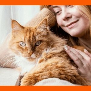 5% cashback din valoarea cumpărăturii online la pentruanimale ro