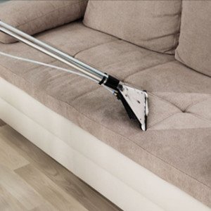 19% reducere la Ajusto