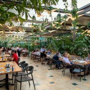 15% cashback din nota de plată în restaurant la Restaurant Pescăruș