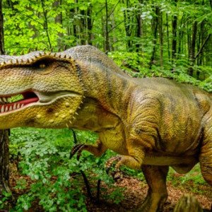 Reducere 20% la comenzile de pe dinoparc.ro