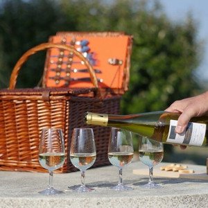 RWC Nantes Wine Tour