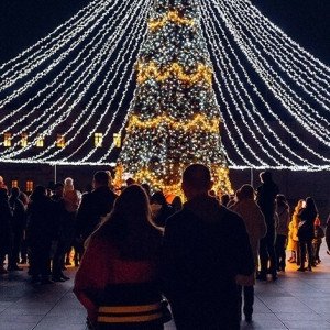 Simte magia iernii la Castel Mimi