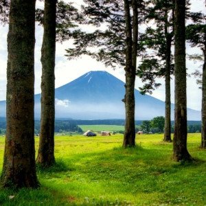 Oferta ESG Standard Booking.com