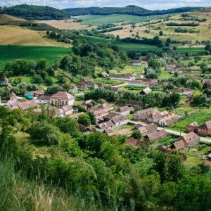 Vânează aurul negru al pădurilor transilvane, cazat în inima țării