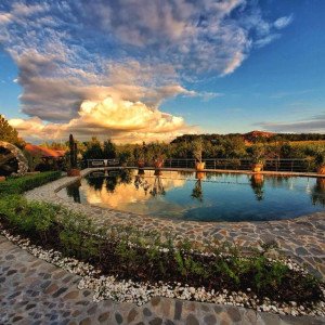 Reduceri la Country Spa